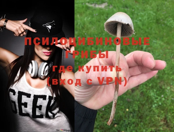 гидра Балахна